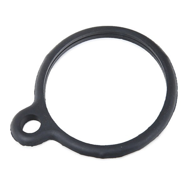 JOINT DE THERMOSTAT